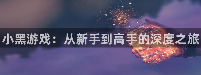 奇亿娱乐怎么注册：小黑游戏：从新手到高手的深度之旅