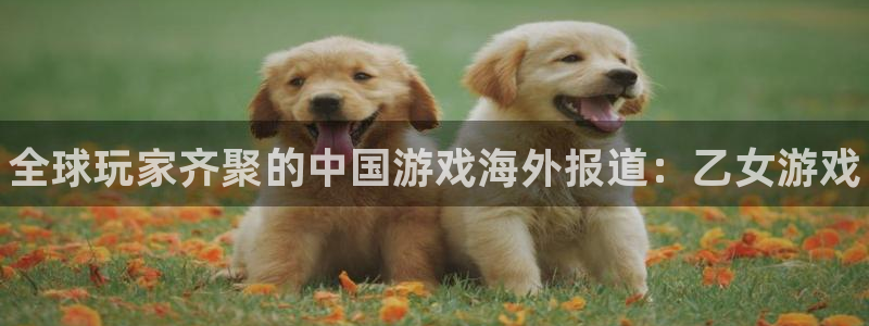 奇亿娱乐集团：全球玩家齐聚的中国游戏海外报道：乙女游戏