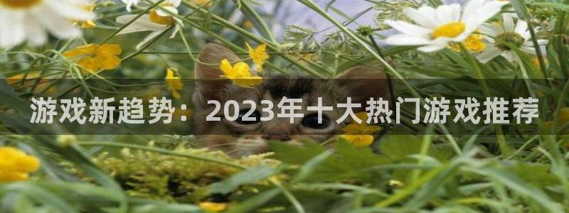 奇亿娱乐：游戏新趋势：2023年十大热门游戏推荐