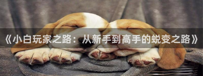 奇亿娱乐平台官网注册：《小白玩家之路：从新手到高手的蜕变之路