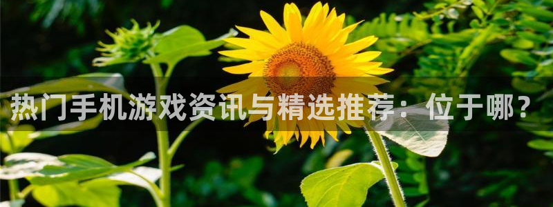 奇亿娱乐咨询：热门手机游戏资讯与精选推荐：位于哪？